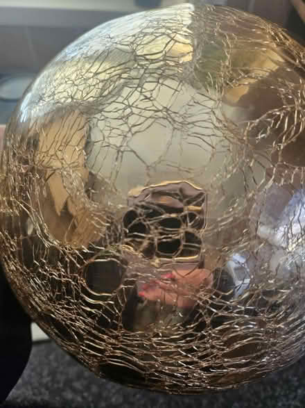 Photo of free Gold bowl (Ashton in Makerfield WN4) #3