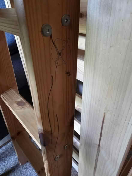 Photo of free loft bed / high sleeper (Charlton on otmoor, OX5) #4