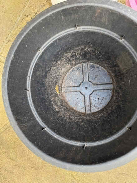 Photo of free Plant pots (Brent NW2) #3