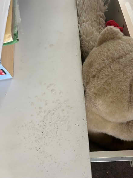 Photo of free chest of drawers (Hunters Hill) #2