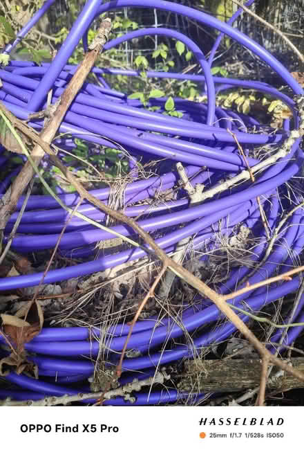 Photo of free Purple tubing (Keighley) #1