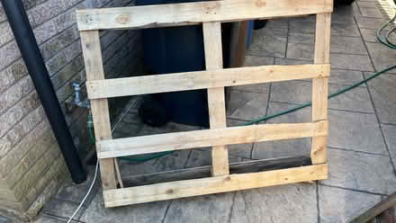 Photo of free Wooden pallet (Euxton PR7) #1