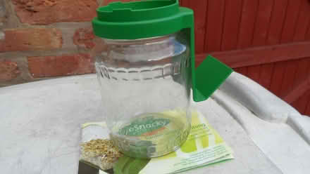Photo of free Small glass germinator for sprouting seeds (Wilmslow SK9) #3