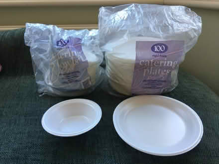 Photo of free Catering plates and bowls (Townsend AL3) #1