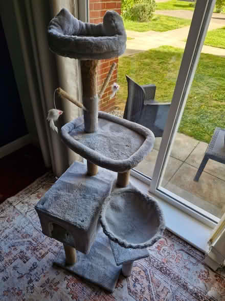 Photo of free Cat tree tower (Ipswich IP2) #2