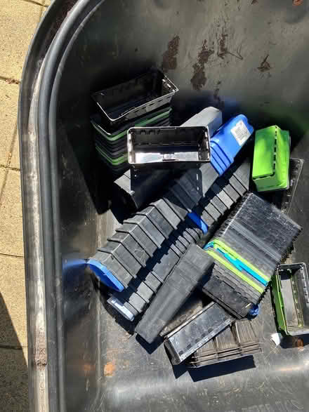 Photo of free Lots of plant pots, from seedlings (O’Connor) #1