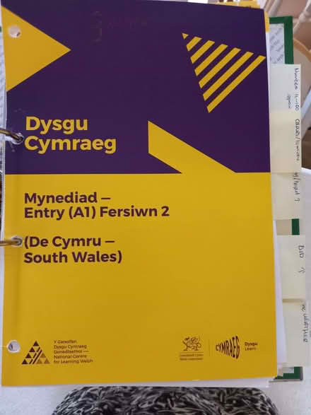 Photo of free Mynediad entry A1 Welsh learners book. (Penarth CF64) #1