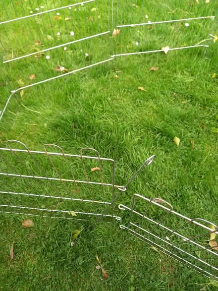 Photo of free Metal animal pen (Weston bath) #1