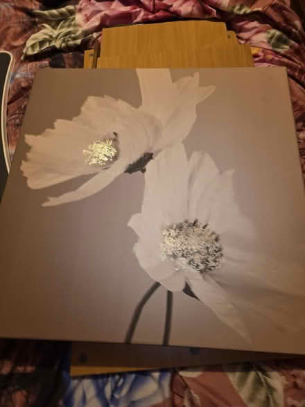 Photo of free 2 canvas pictures (Harold wood RM3) #2