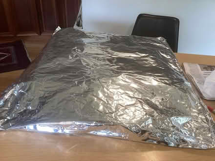 Photo of free Big insulated bag (North west Seattle) #1