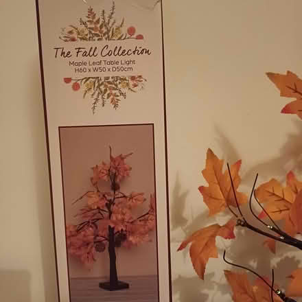 Photo of free Maple leaf table light (Drighlington, Bradford BD11) #2