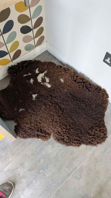 Photo of free Two sheepskin rugs (Upper Weston BA1) #2