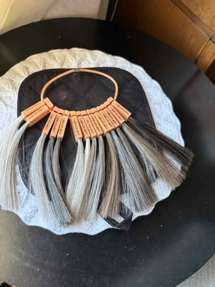 Photo of free Wig hair swatch colors (Chestnut Point East Condos) #1