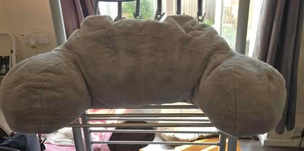 Photo of free Grey sofa pillow (Bellingham SE6) #1