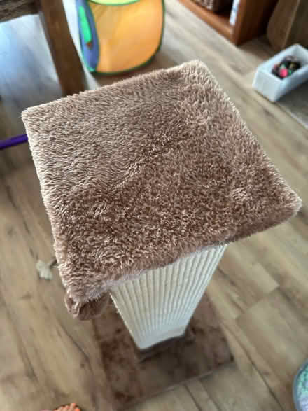 Photo of free Large cat scratching post (Rise Park NG5) #2