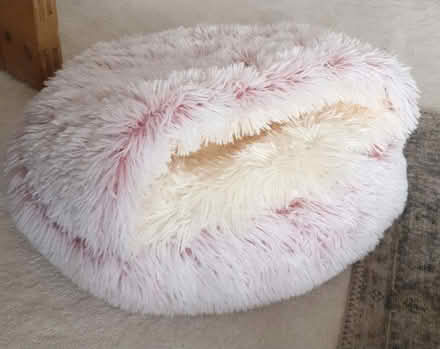 Photo of free Unused cat bed (N13) #1