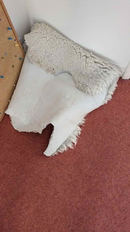 Photo of free Two sheepskin rugs (Upper Weston BA1) #1