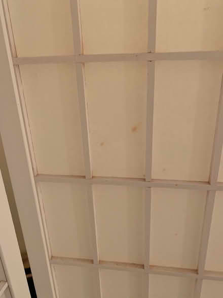 Photo of free 4 panel shoji screen (San Anselmo near Andronico’s) #4