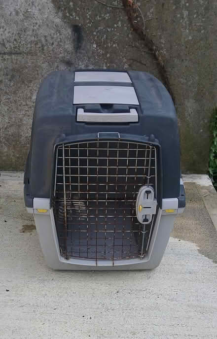 Photo of free Dog box (Dublin northside) #2
