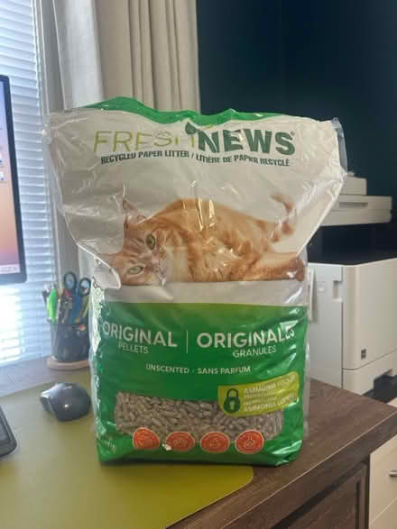 Photo of free cat litter 🐈 (Malden) #1