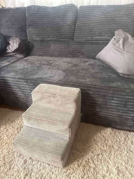 Photo of free Dog stairs (Hillsmere) #2