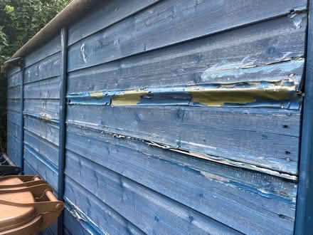 Photo of free Garden Shed (Blue 3m x 2.1m) - needs TLC - Bayford (Bayfordbury SG13) #1