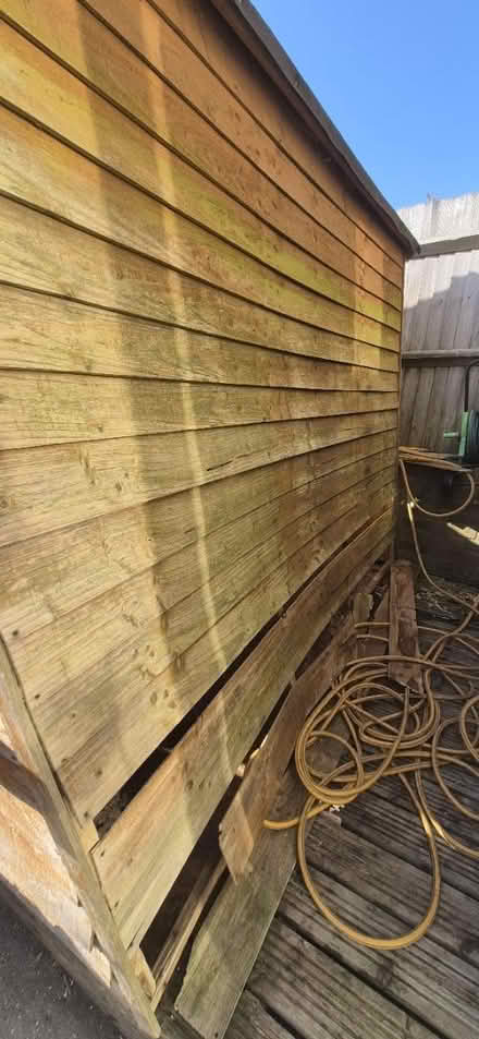 Photo of free Shed (Portslade) #1