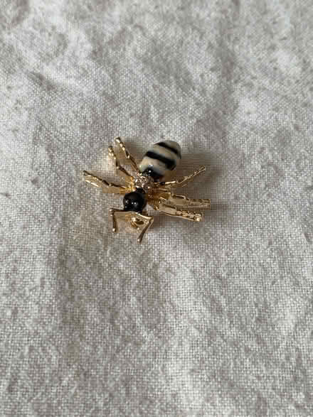Photo of free Small gold colour wasp brooch (Slyfield GU1) #4