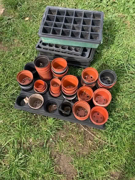 Photo of free Lots of seed trays and small plastic pots (Great Rollright OX7) #1