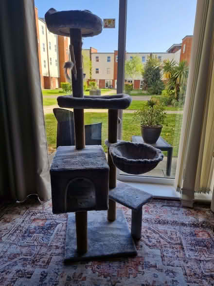 Photo of free Cat tree tower (Ipswich IP2) #1