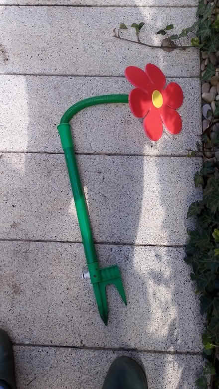Photo of free Flower hose (mitchams corner CB4) #1