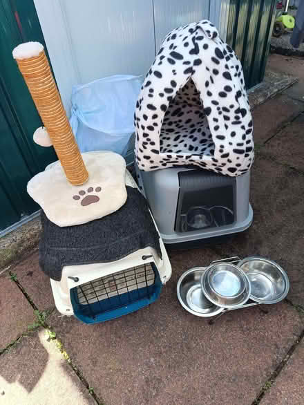 Photo of free Cat equipment (Ballyduff BT36) #1