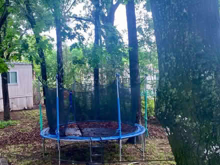 Photo of free Trampoline with safety net & ladder (Beltline Rd & Shady Grove) #1