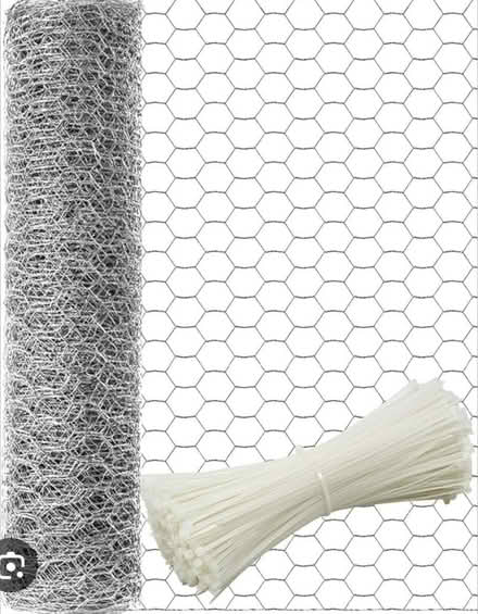 Photo of Chicken wire (Chessington KT9) #1