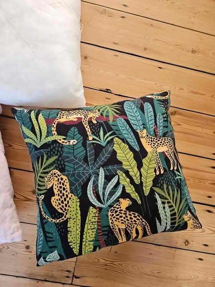 Photo of free X3 pillows (SE15) #1