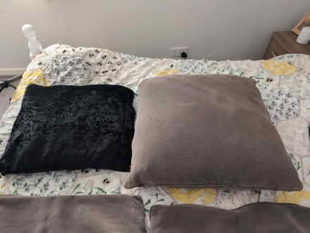 Photo of free Cushions and cushion covers (Hyde SK14) #1