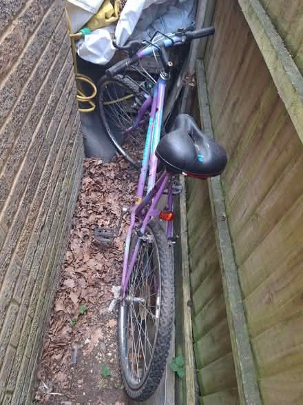 Photo of free Ladies bike (Whitehill, GU35 9HA) #1