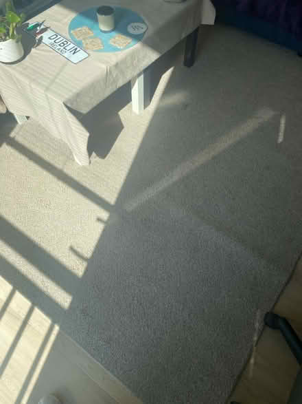 Photo of free Large white rug (Hampden) #1