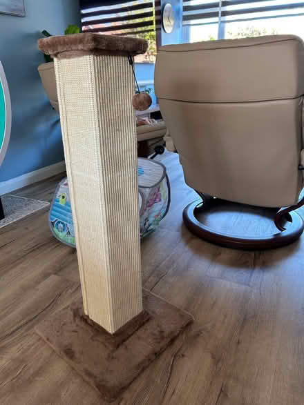 Photo of free Large cat scratching post (Rise Park NG5) #3