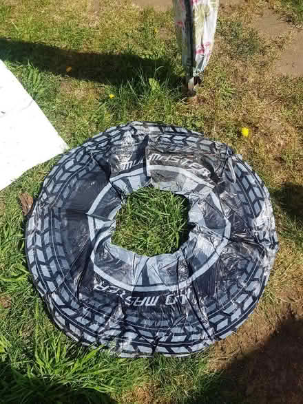 Photo of free Large, inflatable ring (Orpington BR5) #1