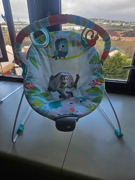 Photo of free Bouncy chair (G537hw) #1