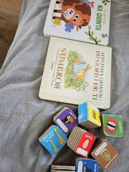Photo of free Portuguese baby/toddler books (Littlemore OX4) #1