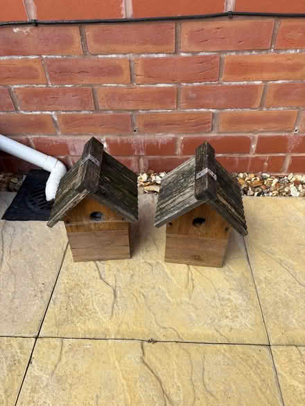 Photo of free Wooden bird boxes (Glastonbury, BA6) #1