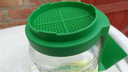 Photo of free Small glass germinator for sprouting seeds (Wilmslow SK9) #2