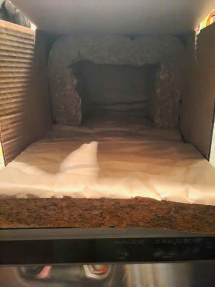 Photo of free Animal Rehabber Box? (North Cambridge) #2