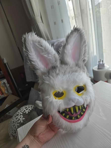 Photo of free Halloween mask (Dublin 16) #1