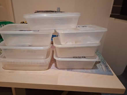 Photo of free Plastic containers (Walkley S6) #1