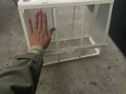 Photo of free Small glass greenhouse (Roehampton. SW15) #2