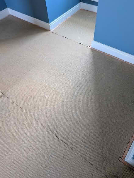 Photo of free Carpet underlay (Banister Park SO15) #2