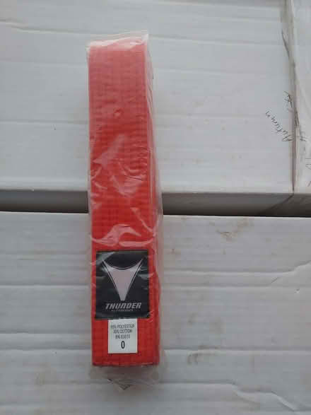 Photo of free martial arts orange belt (little ferry) #1